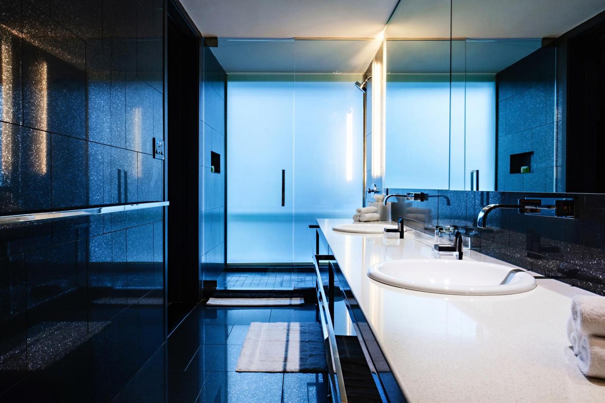 W Downtown Hotel 4*